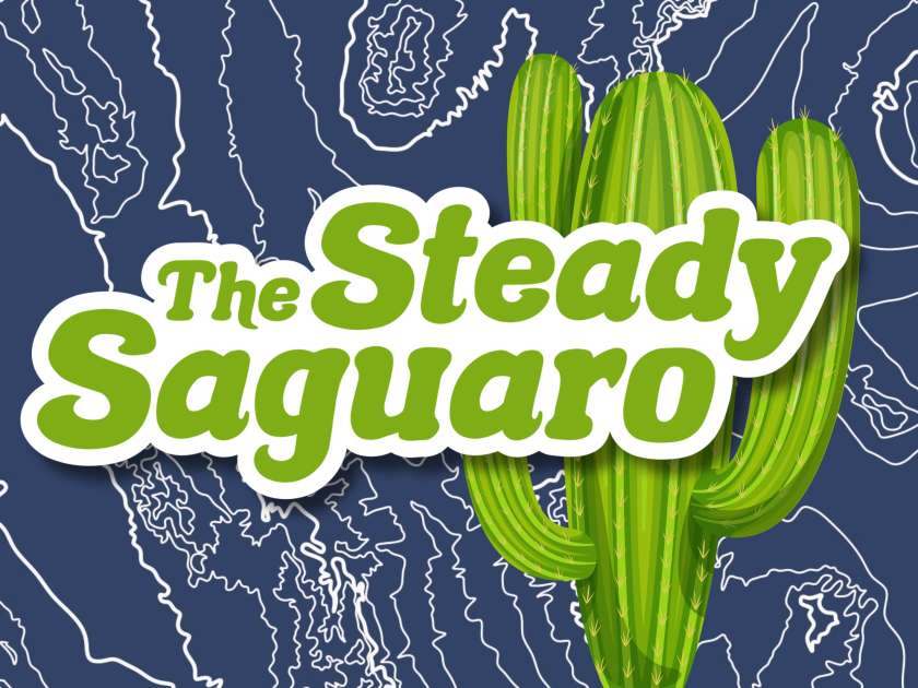 The Steady Saguaro