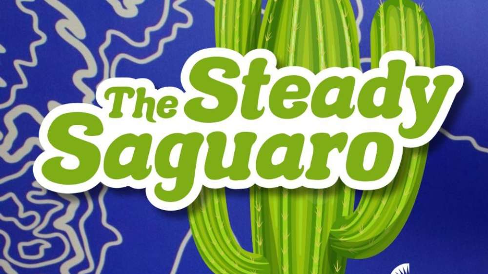 Steady Saguaro Website 1