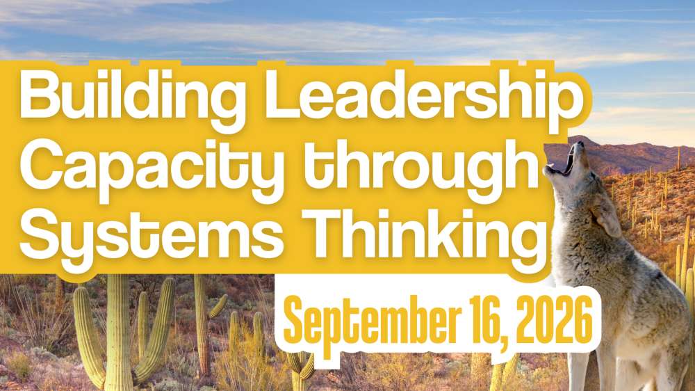 Building Leadership Capacity through Systems Thinking