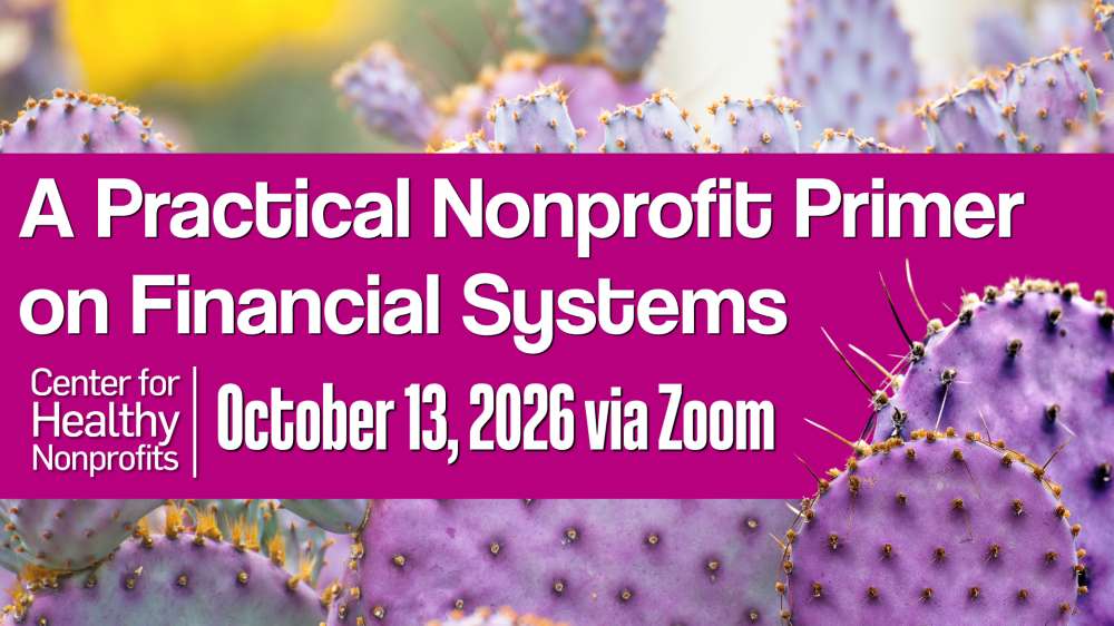 A Practical Nonprofit Primer on Financial Systems