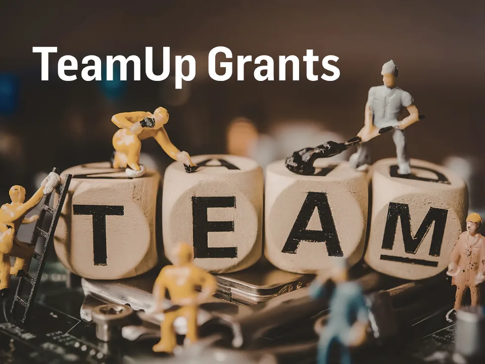 Team Up Grants