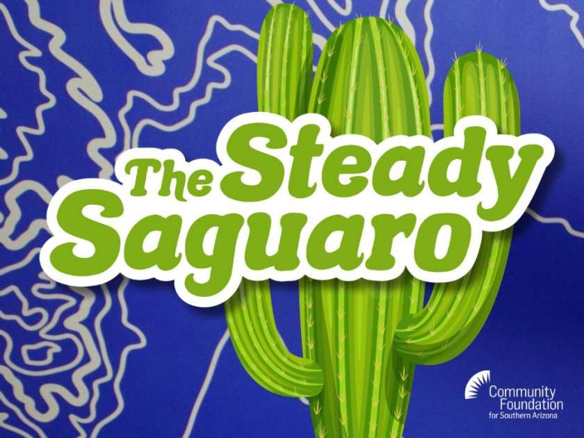 Steady Saguaro Website