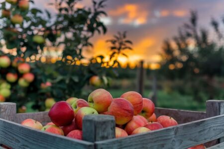 Struggling to make sense of biopesticide rules and exports? Bio