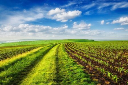 New EU Policy Shift Alert – What It Means for U.S. Exporters Bio
