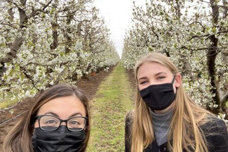 BCI supports CA cherry industry with photo resources Bio