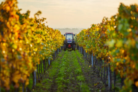 USDA Announces $25 Million for New Projects in Support of the New Assisting Specialty Crop Exports (ASCE) Initiative Bio