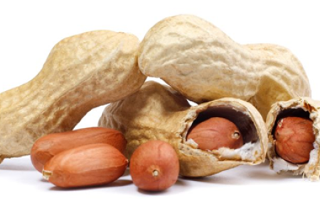 BCI Provides Insight at USA Peanut Conference Bio