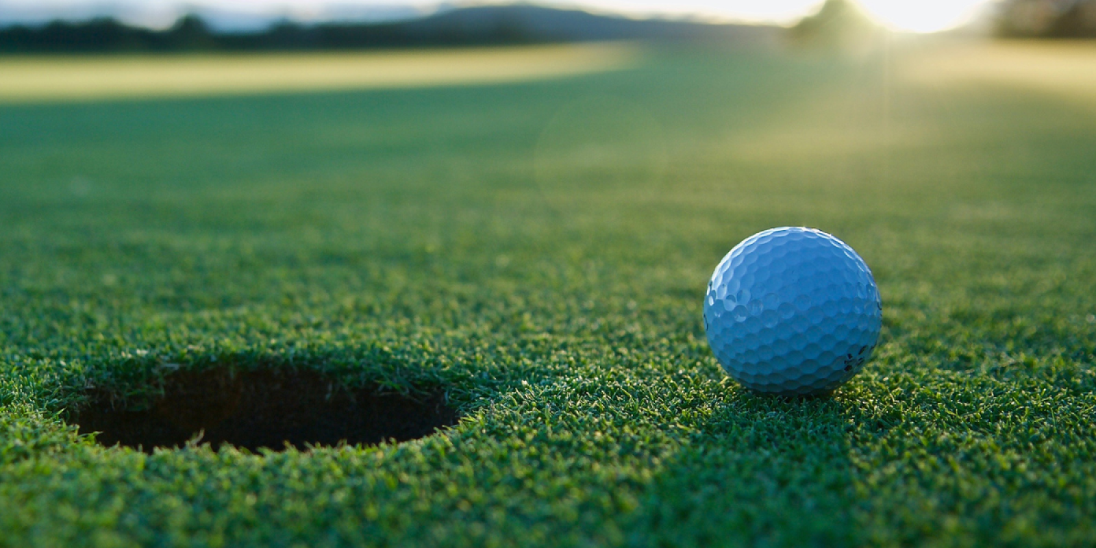 Venice Golf Country
