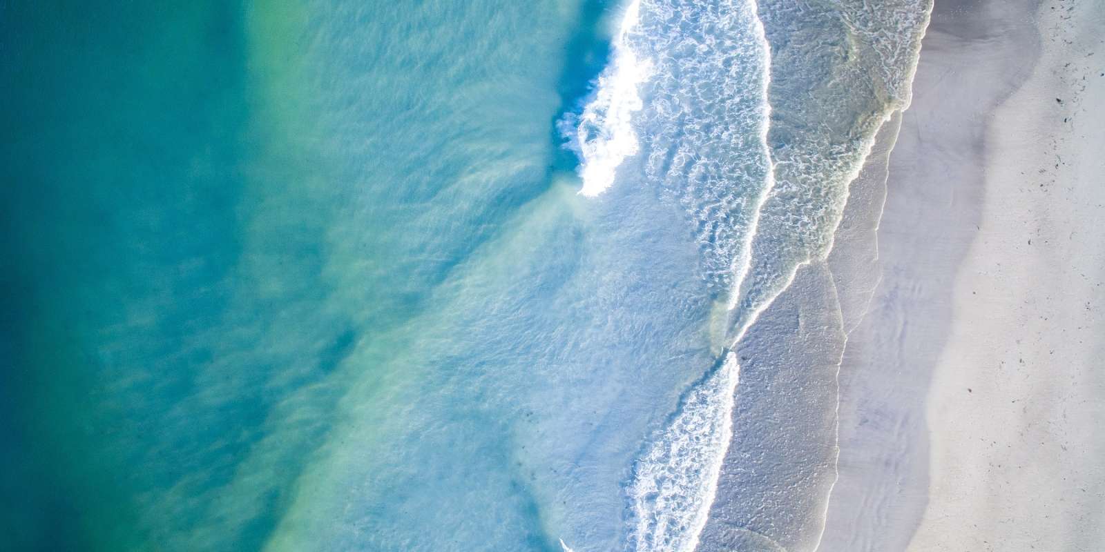 Website Giving Page Header