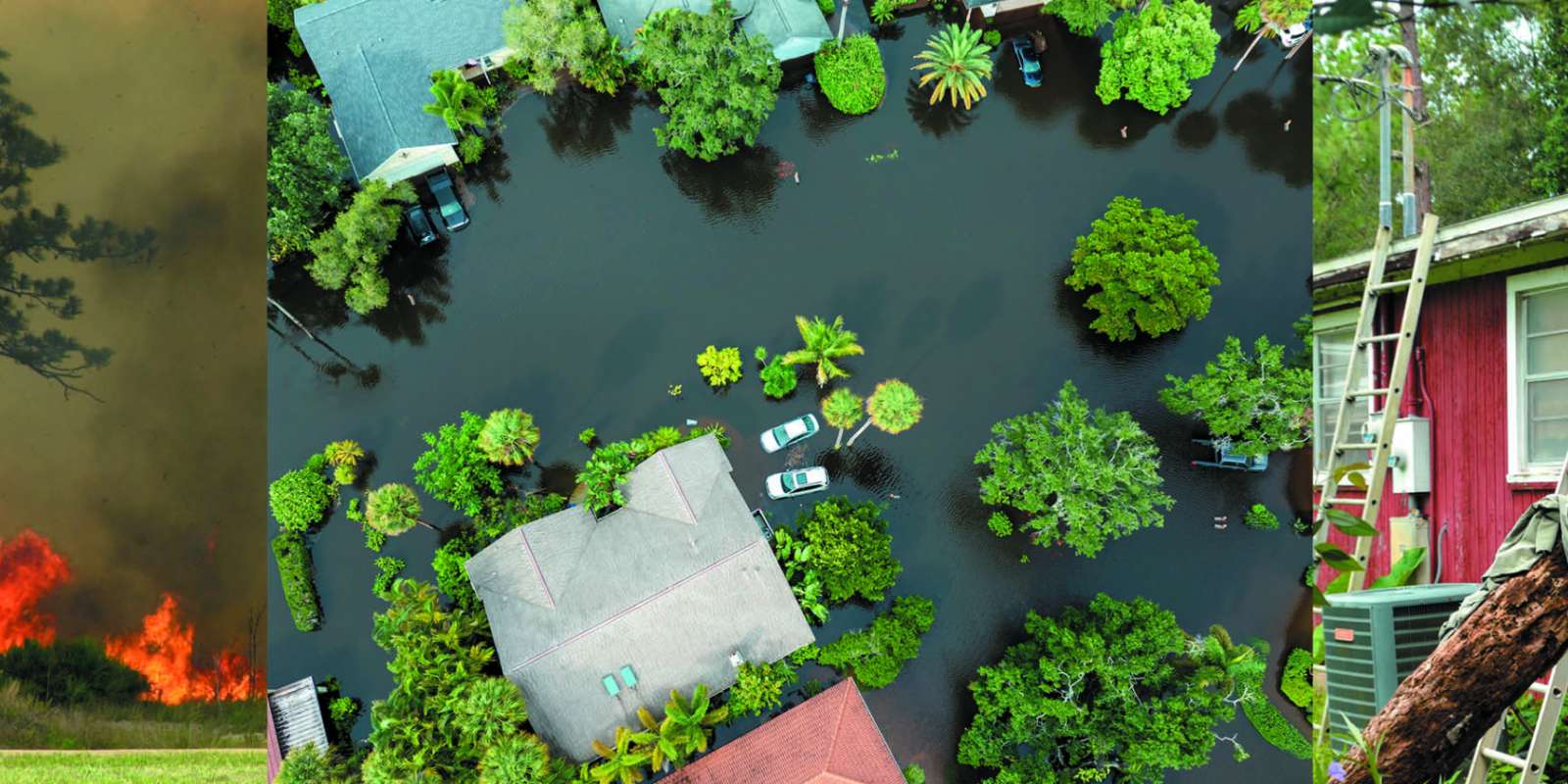 Website Banner Image No Text 0