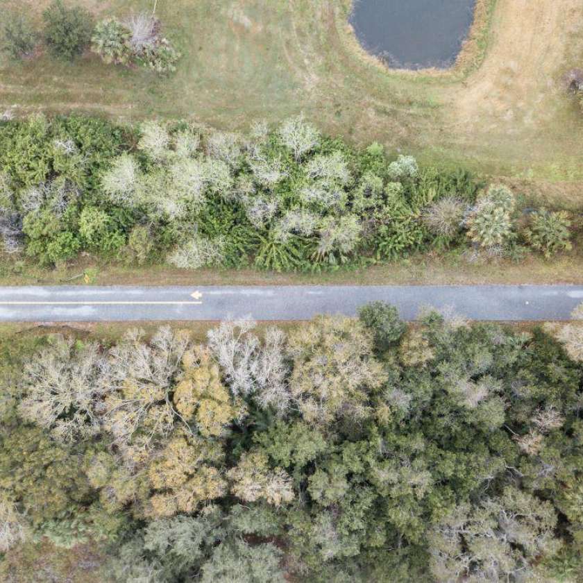 DJI 0652