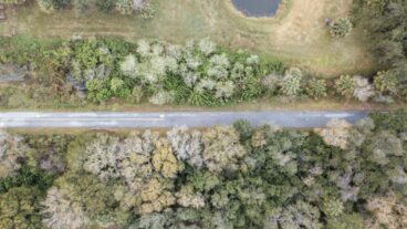 DJI 0652