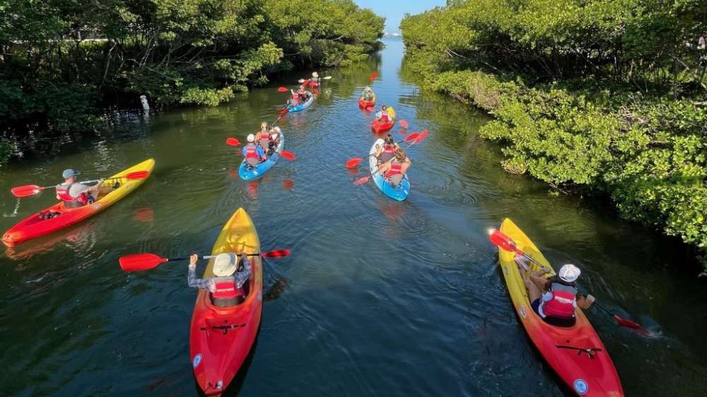 Ride Paddle Image 1024x588