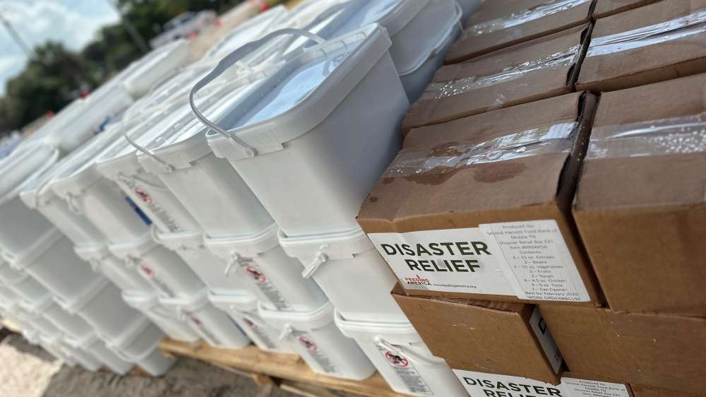 Hurricane Helene Hollie 3 1