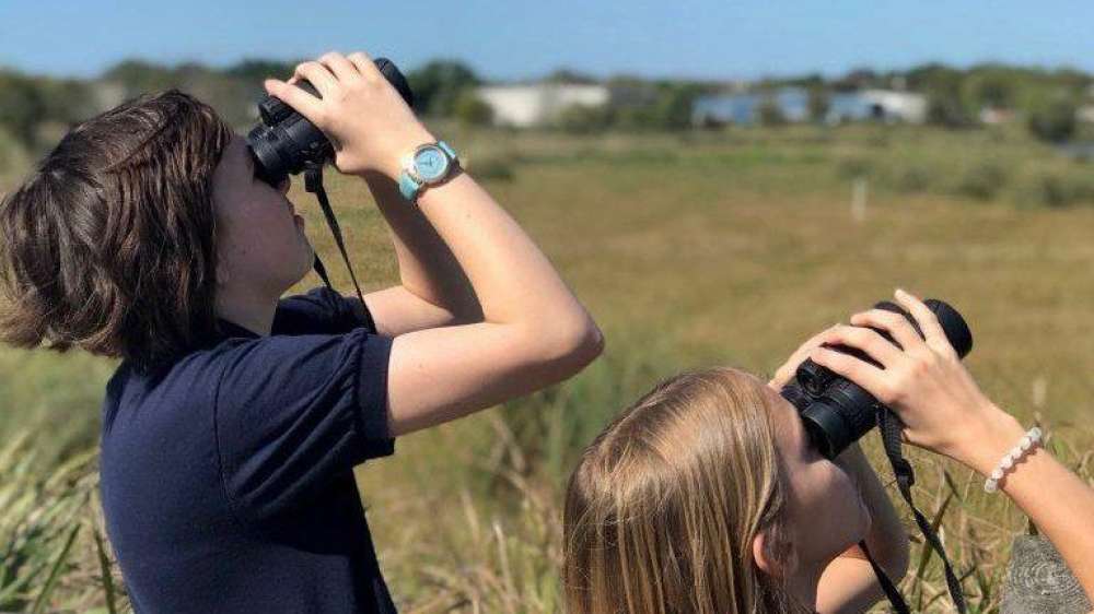 Sarasota Audubon Society web e1707488740255 768x612