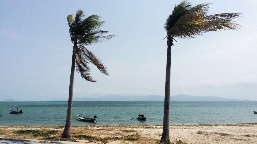 Alexey demidov P Hrn7 Um O Yj A unsplash