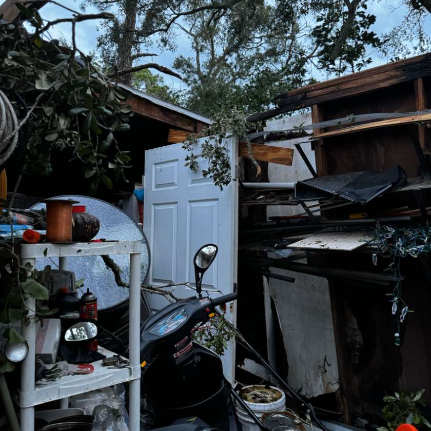 IMG 0574 002 for website