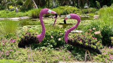 Peace River Botanical Gardens 7 2023