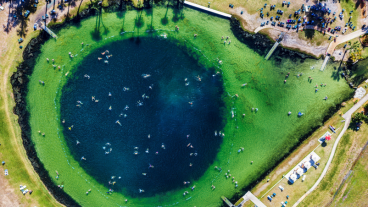 Warm mineral springs