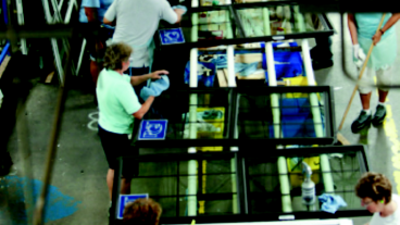 Career Edge 2016 Annual Impact Report web 0