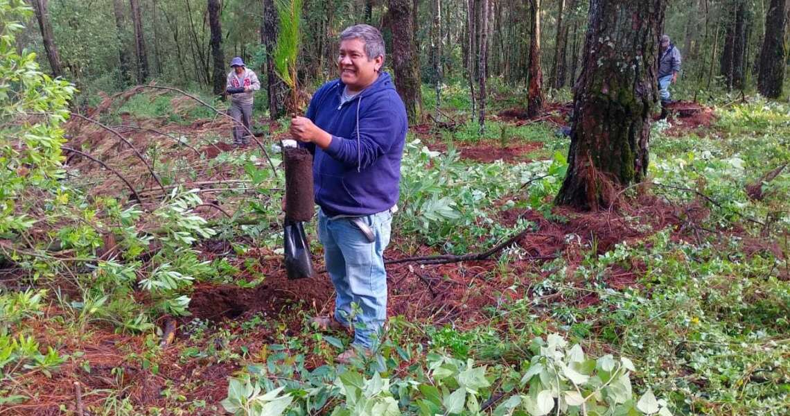 Community member of Ejido San Juan Zitácuaro reforesting