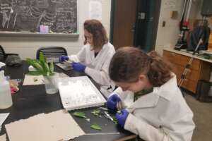 Cooper and Megan at the lab