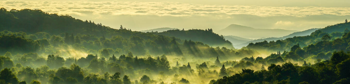 Graveyard Fields, Transylvania County.