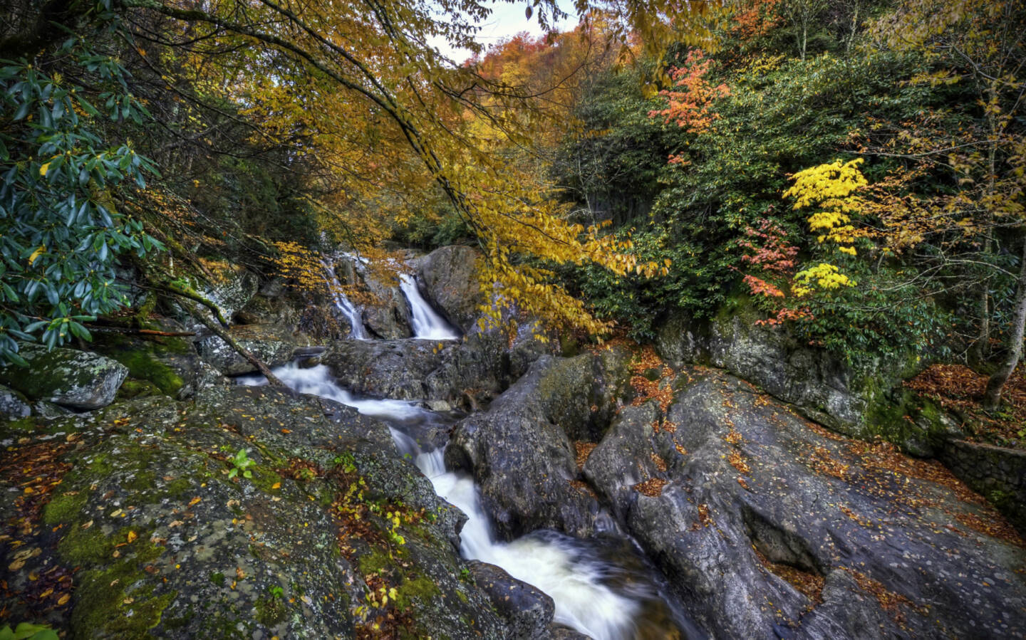 Waterfall with surrounding fall foliage.