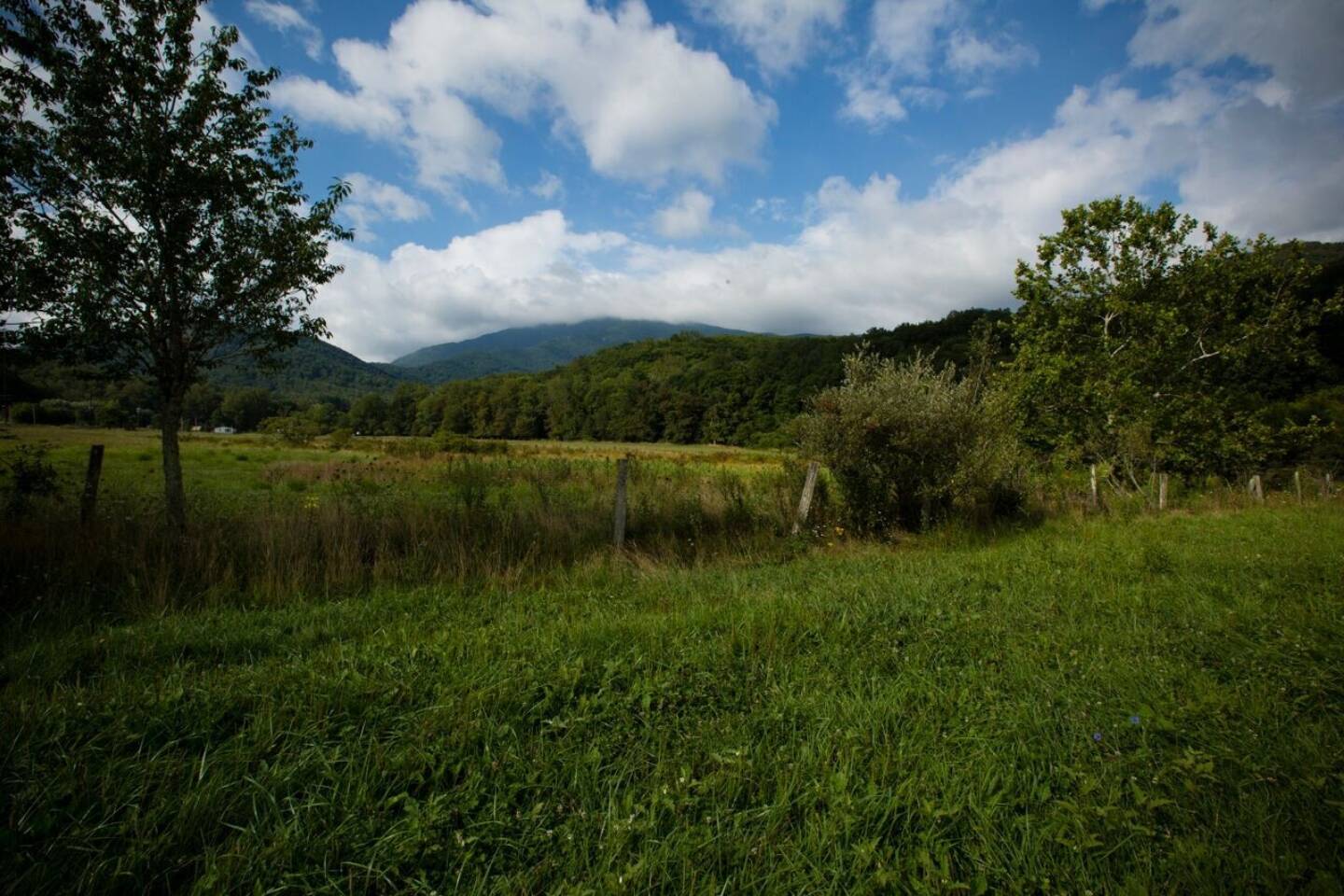 Grassy landscape photo of Bowditch Bottoms Farm